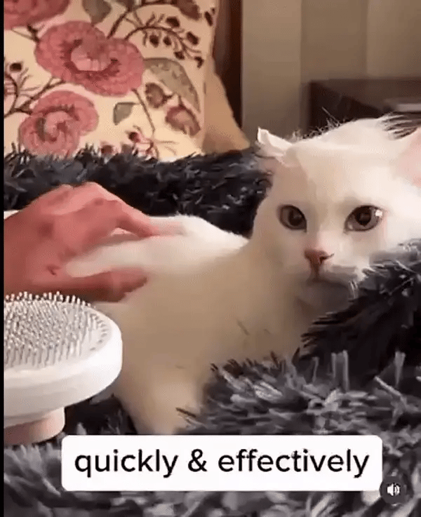 PAWZ GOOMING COMB™ BUY 2 GET 10% OFF!!