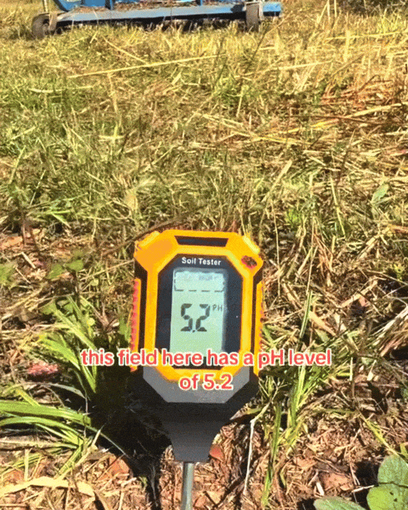 GrowGuard™ 4-in-1 Soil Tester