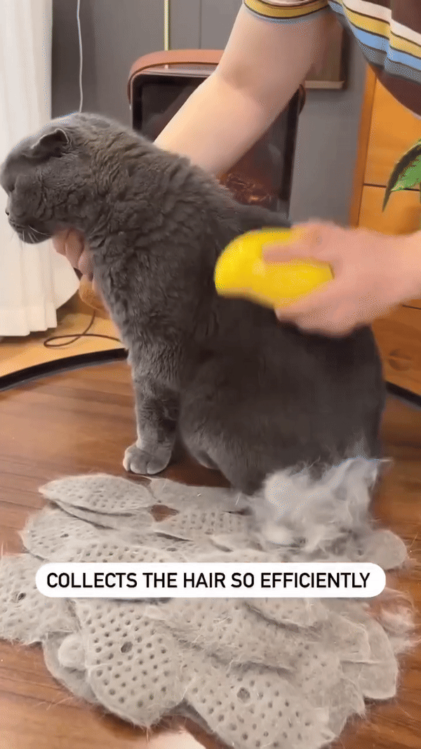 Modern PURRfect Calm Grooming Brush!!™ BUY 2 GET 10% OFF