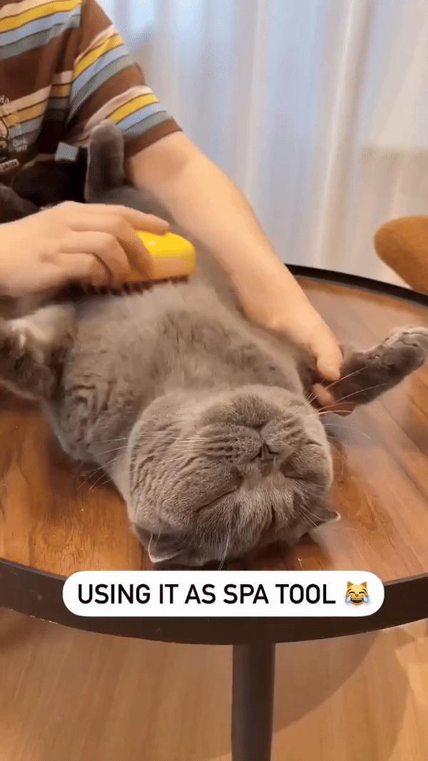 Modern PURRfect Calm Grooming Brush!!™ BUY 2 GET 10% OFF