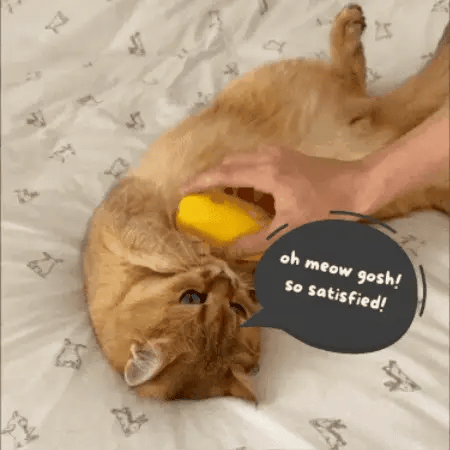 Modern PURRfect Calm Grooming Brush!!™ BUY 2 GET 10% OFF