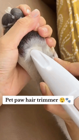 NeatPetz™ Grooming Kit