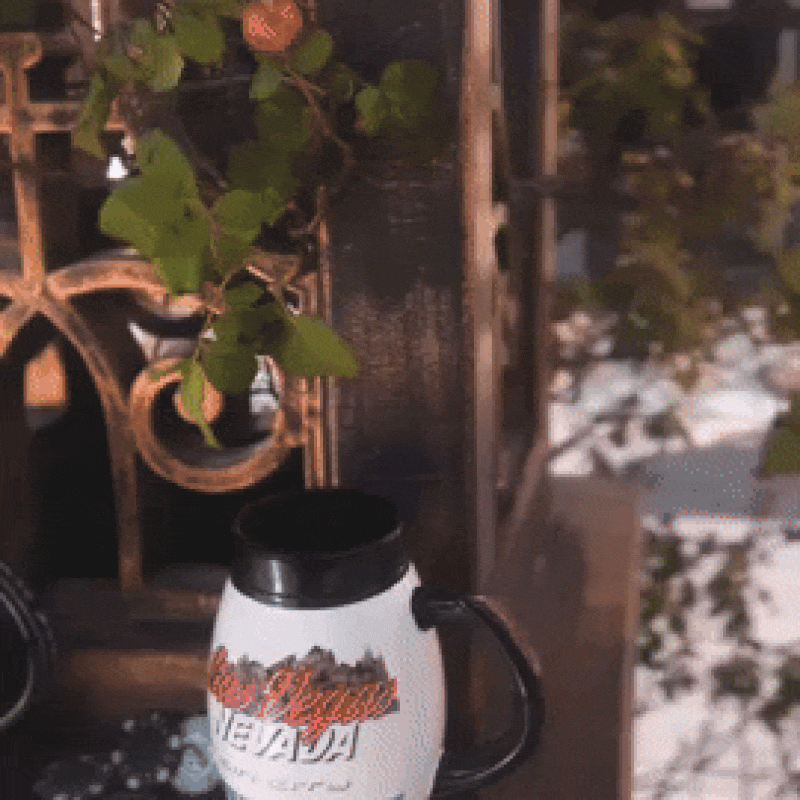 Las Vegas Souvenir Beer Mug