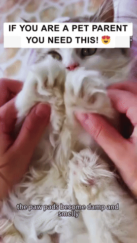 NeatPetz™ Grooming Kit